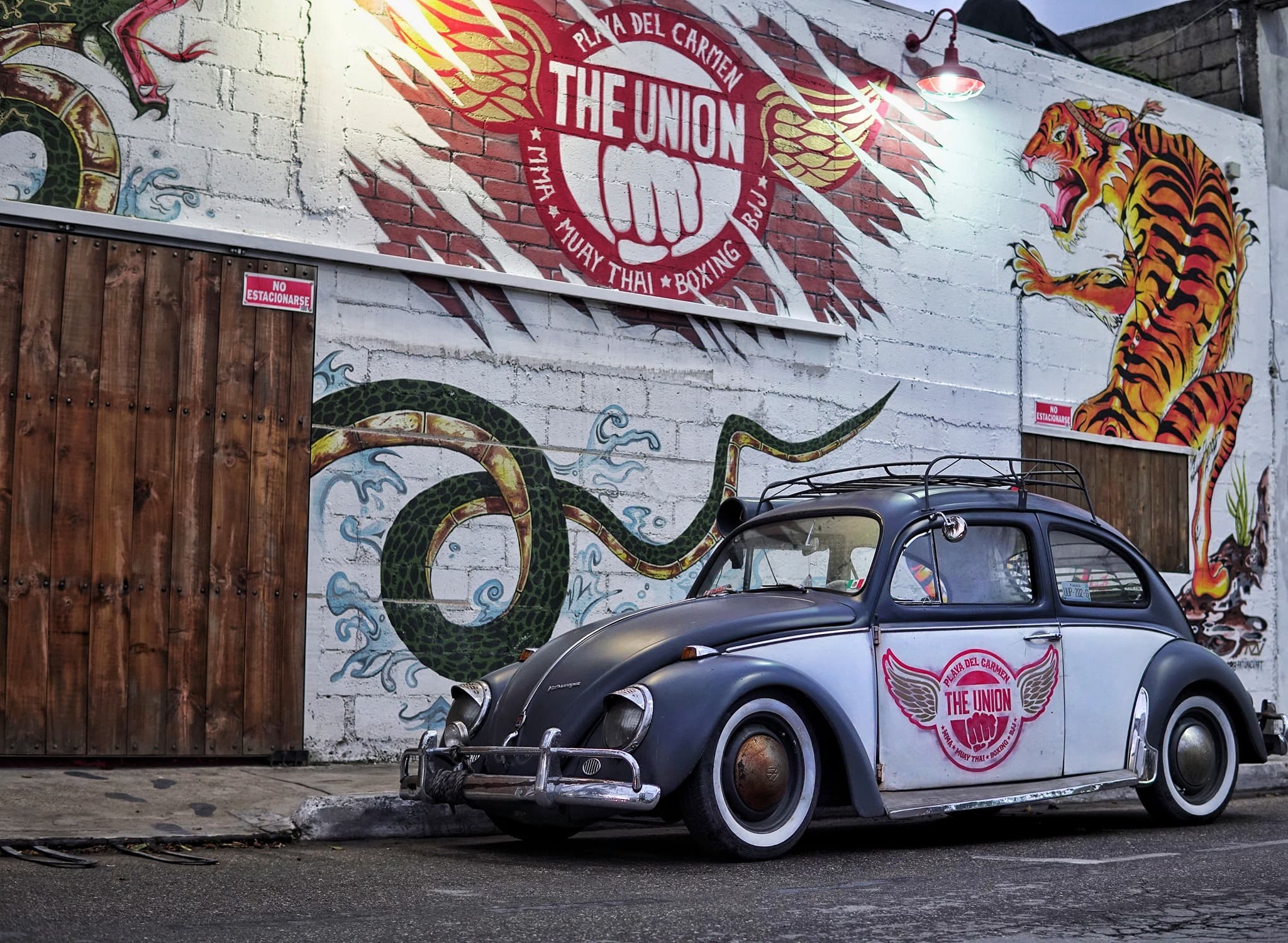 The Union Muay Thai & Boxing Gym exterior entrance on 10th Avenue in Playa del Carmen, featuring iconic tiger mural street art and authentic old-school gym facade in Zazil-ha neighborhood